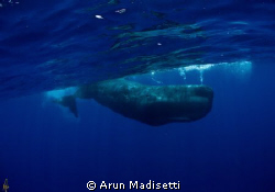 far offshore, the adventure continues. 
With apologies t... by Arun Madisetti 